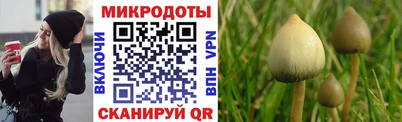 Псилоцибиновые грибы мухоморы  Слюдянка 
