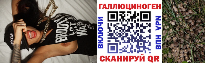 Галлюциногенные грибы прущие грибы Слюдянка